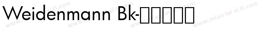 Weidenmann Bk字体转换